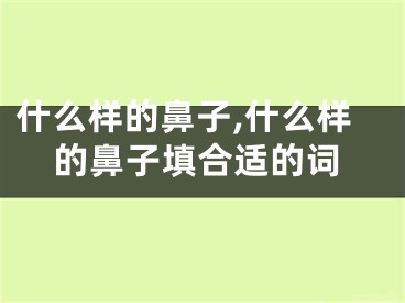 什么样的鼻子,什么样的鼻子填合适的词