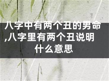 八字中有两个丑的男命,八字里有两个丑说明什么意思