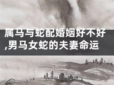 属马与蛇配婚姻好不好,男马女蛇的夫妻命运