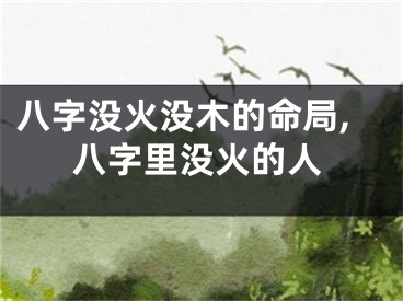 八字没火没木的命局,八字里没火的人