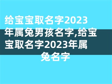 给宝宝取名字2023年属兔男孩名字,给宝宝取名字2023年属兔名字