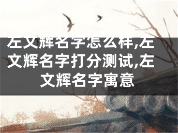 左文辉名字怎么样,左文辉名字打分测试,左文辉名字寓意