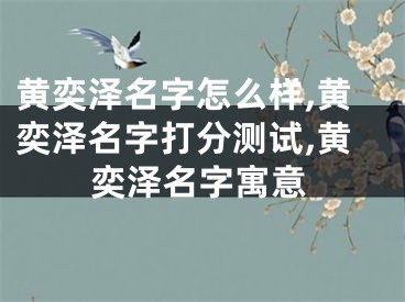 黄奕泽名字怎么样,黄奕泽名字打分测试,黄奕泽名字寓意