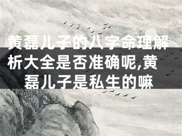 黄磊儿子的八字命理解析大全是否准确呢,黄磊儿子是私生的嘛