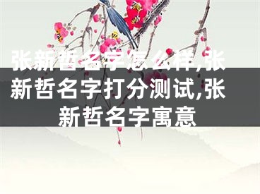 张新哲名字怎么样,张新哲名字打分测试,张新哲名字寓意