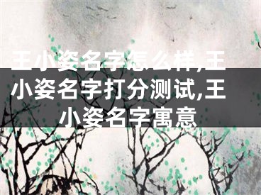 王小姿名字怎么样,王小姿名字打分测试,王小姿名字寓意