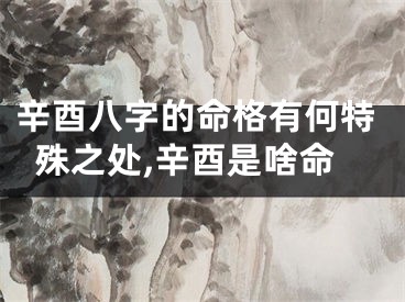 辛酉八字的命格有何特殊之处,辛酉是啥命