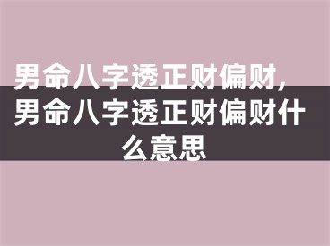 男命八字透正财偏财,男命八字透正财偏财什么意思
