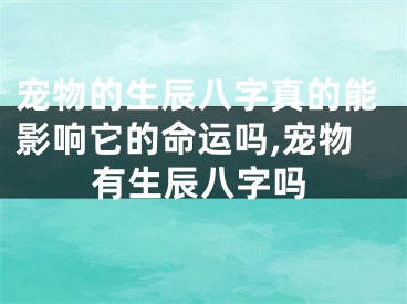 宠物的生辰八字真的能影响它的命运吗,宠物有生辰八字吗
