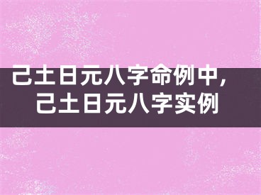 己土日元八字命例中,己土日元八字实例