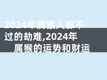 2024年属猴人躲不过的劫难,2024年属猴的运势和财运