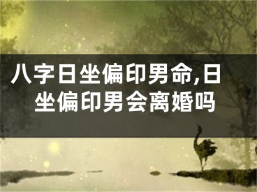 八字日坐偏印男命,日坐偏印男会离婚吗