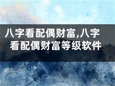 八字看配偶财富,八字看配偶财富等级软件