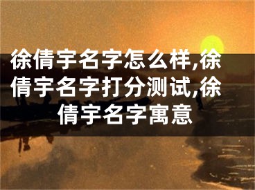 徐倩宇名字怎么样,徐倩宇名字打分测试,徐倩宇名字寓意