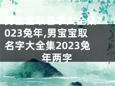 男宝宝取名字大全集2023兔年,男宝宝取名字大全集2023兔年两字