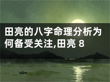 田亮的八字命理分析为何备受关注,田亮 8