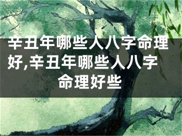 辛丑年哪些人八字命理好,辛丑年哪些人八字命理好些