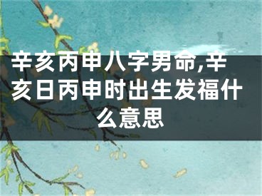辛亥丙申八字男命,辛亥日丙申时出生发福什么意思