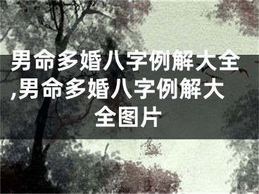 男命多婚八字例解大全,男命多婚八字例解大全图片