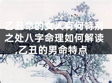 乙丑命的女人有何特别之处八字命理如何解读,乙丑的男命特点