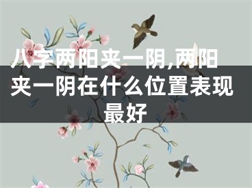 八字两阳夹一阴,两阳夹一阴在什么位置表现最好