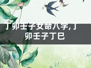 丁卯壬子女命八字,丁卯壬子丁巳