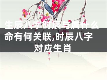 生辰八字时辰与属什么命有何关联,时辰八字对应生肖