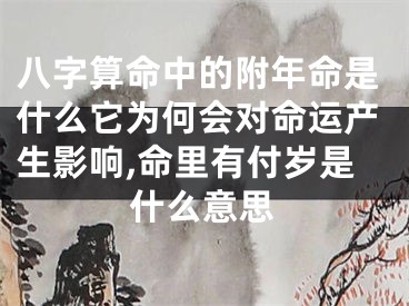 八字算命中的附年命是什么它为何会对命运产生影响,命里有付岁是什么意思