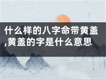 什么样的八字命带黄盖,黄盖的字是什么意思