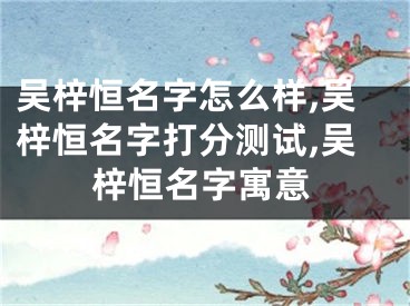 吴梓恒名字怎么样,吴梓恒名字打分测试,吴梓恒名字寓意
