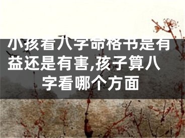 小孩看八字命格书是有益还是有害,孩子算八字看哪个方面