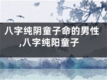 八字纯阴童子命的男性,八字纯阳童子