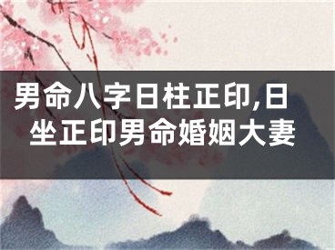 男命八字日柱正印,日坐正印男命婚姻大妻