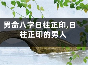 男命八字日柱正印,日柱正印的男人