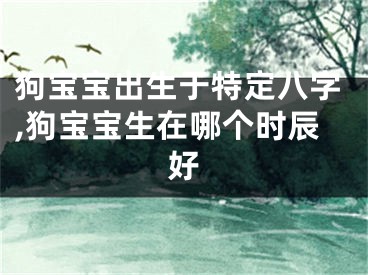狗宝宝出生于特定八字,狗宝宝生在哪个时辰好
