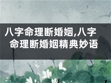 八字命理断婚姻,八字命理断婚姻精典妙语