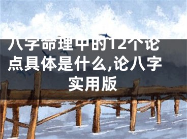 八字命理中的12个论点具体是什么,论八字实用版