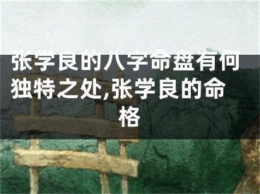 张学良的八字命盘有何独特之处,张学良的命格