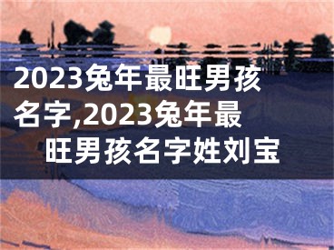 2023兔年最旺男孩名字,2023兔年最旺男孩名字姓刘宝