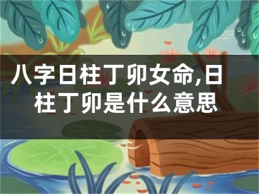 八字日柱丁卯女命,日柱丁卯是什么意思