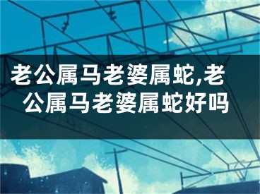老公属马老婆属蛇,老公属马老婆属蛇好吗