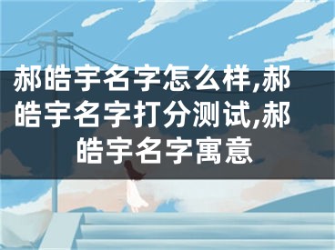 郝皓宇名字怎么样,郝皓宇名字打分测试,郝皓宇名字寓意