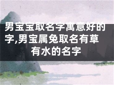 男宝宝取名字寓意好的字,男宝属兔取名有草有水的名字