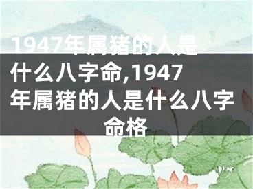 1947年属猪的人是什么八字命,1947年属猪的人是什么八字命格