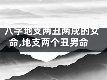 八字地支两丑两戌的女命,地支两个丑男命