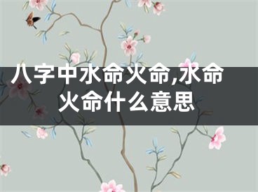 八字中水命火命,水命火命什么意思