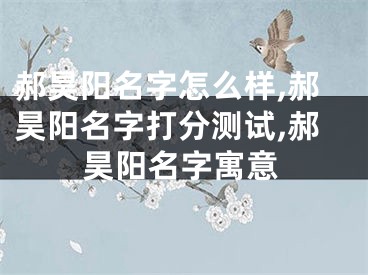 郝昊阳名字怎么样,郝昊阳名字打分测试,郝昊阳名字寓意