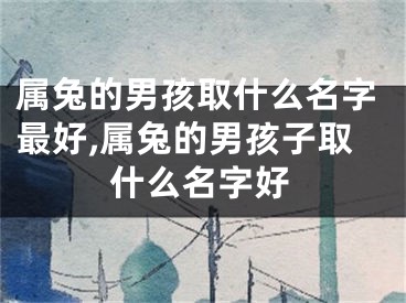 属兔的男孩取什么名字最好,属兔的男孩子取什么名字好