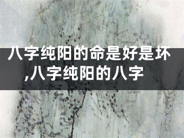 八字纯阳的命是好是坏,八字纯阳的八字