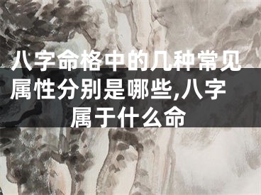 八字命格中的几种常见属性分别是哪些,八字属于什么命